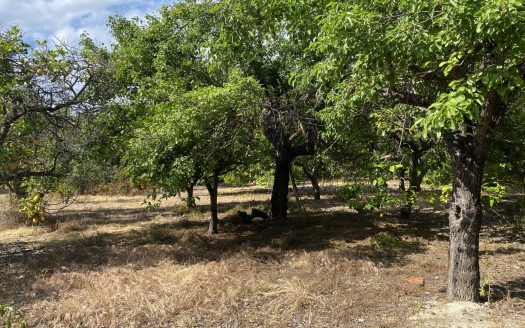 Casa de campo con terreno cerca de la playa